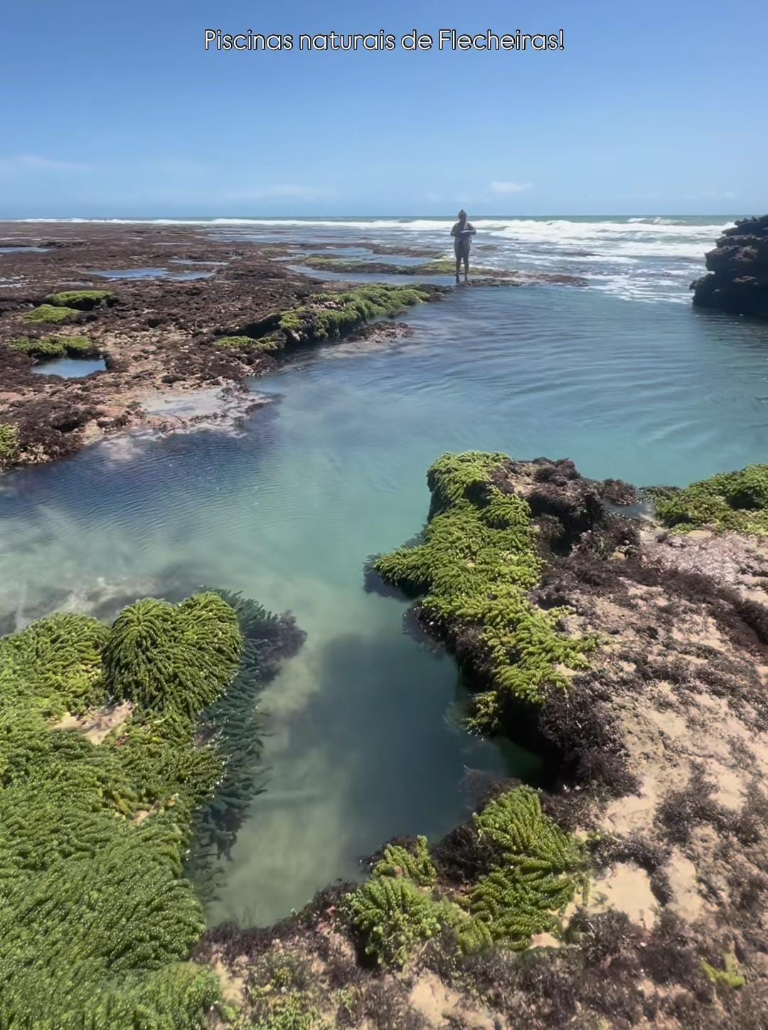 WhatsApp Image 2025-05-05 at 19.12.41(1).jpeg