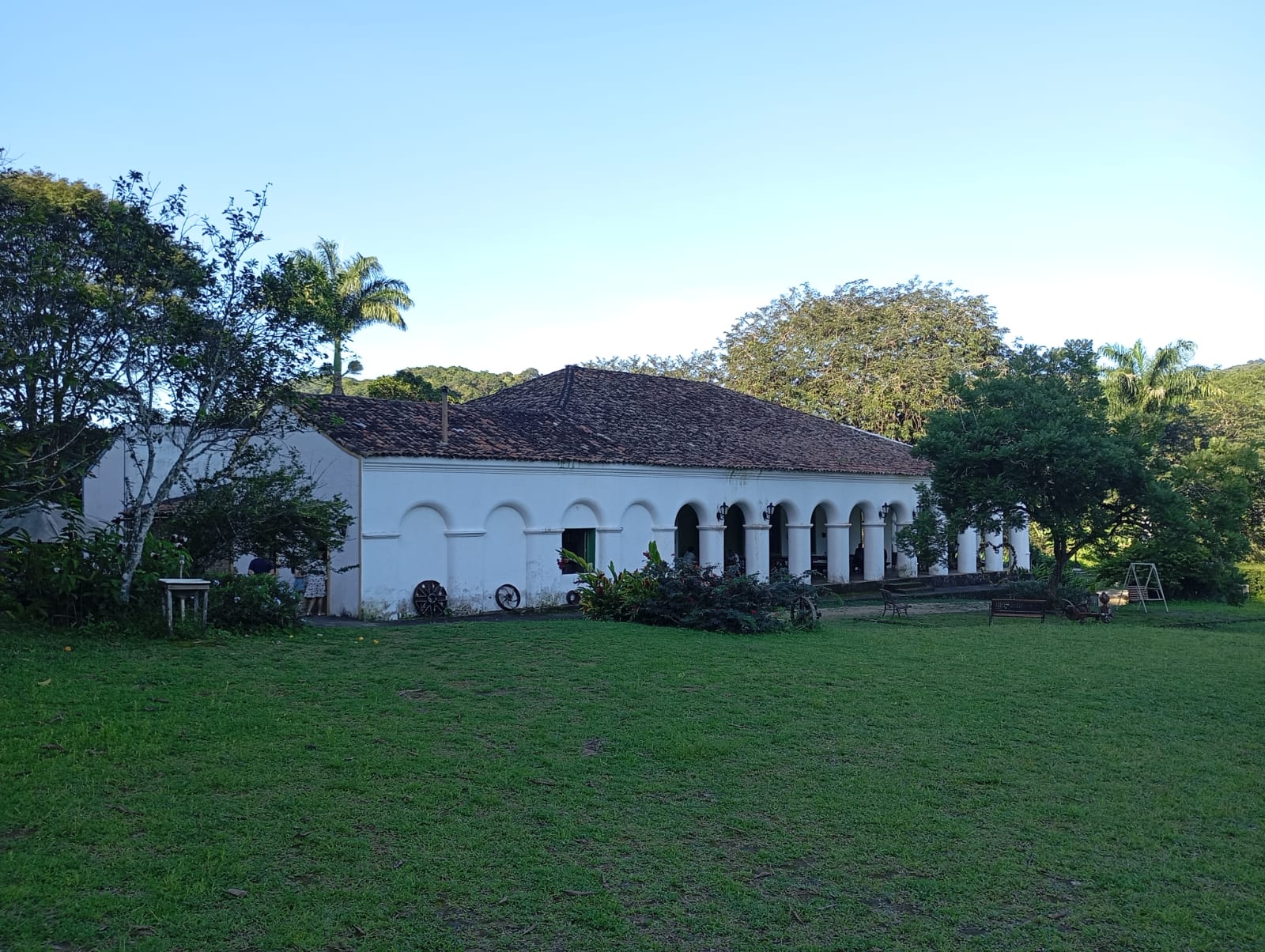 WhatsApp Image 2025-05-05 at 19.54.39.jpeg