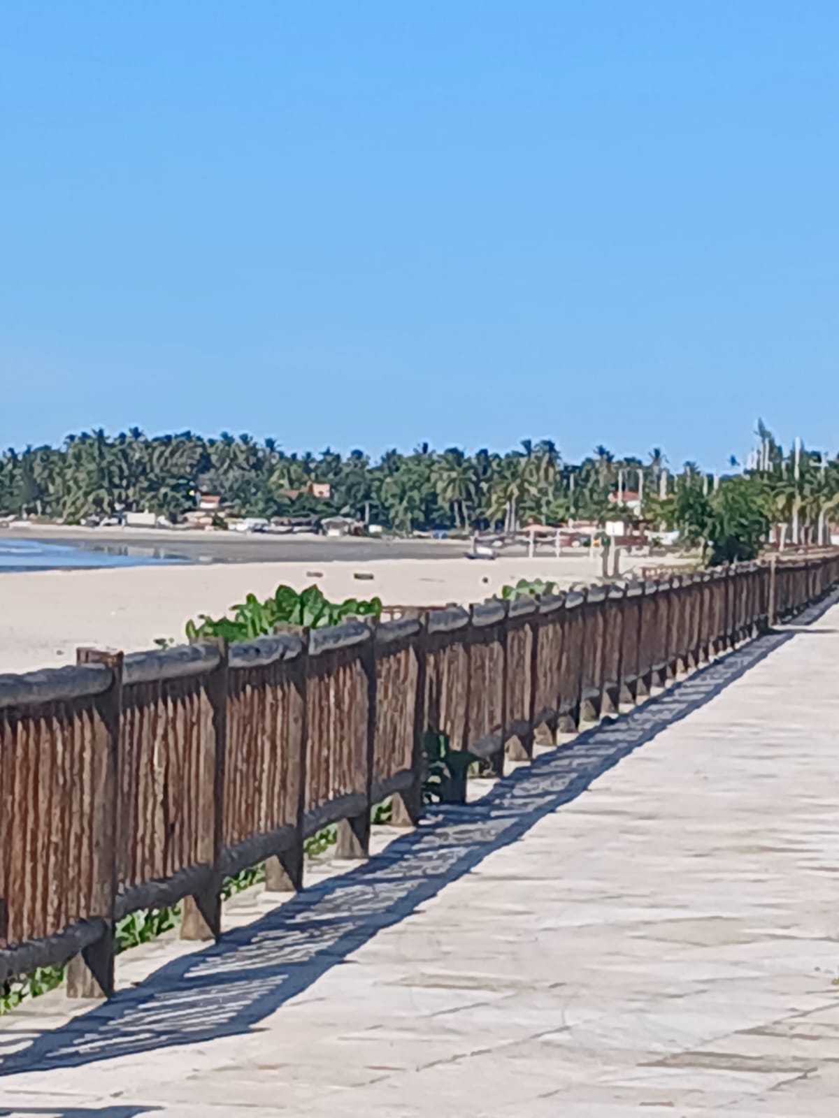 WhatsApp Image 2025-05-05 at 19.12.43.jpeg